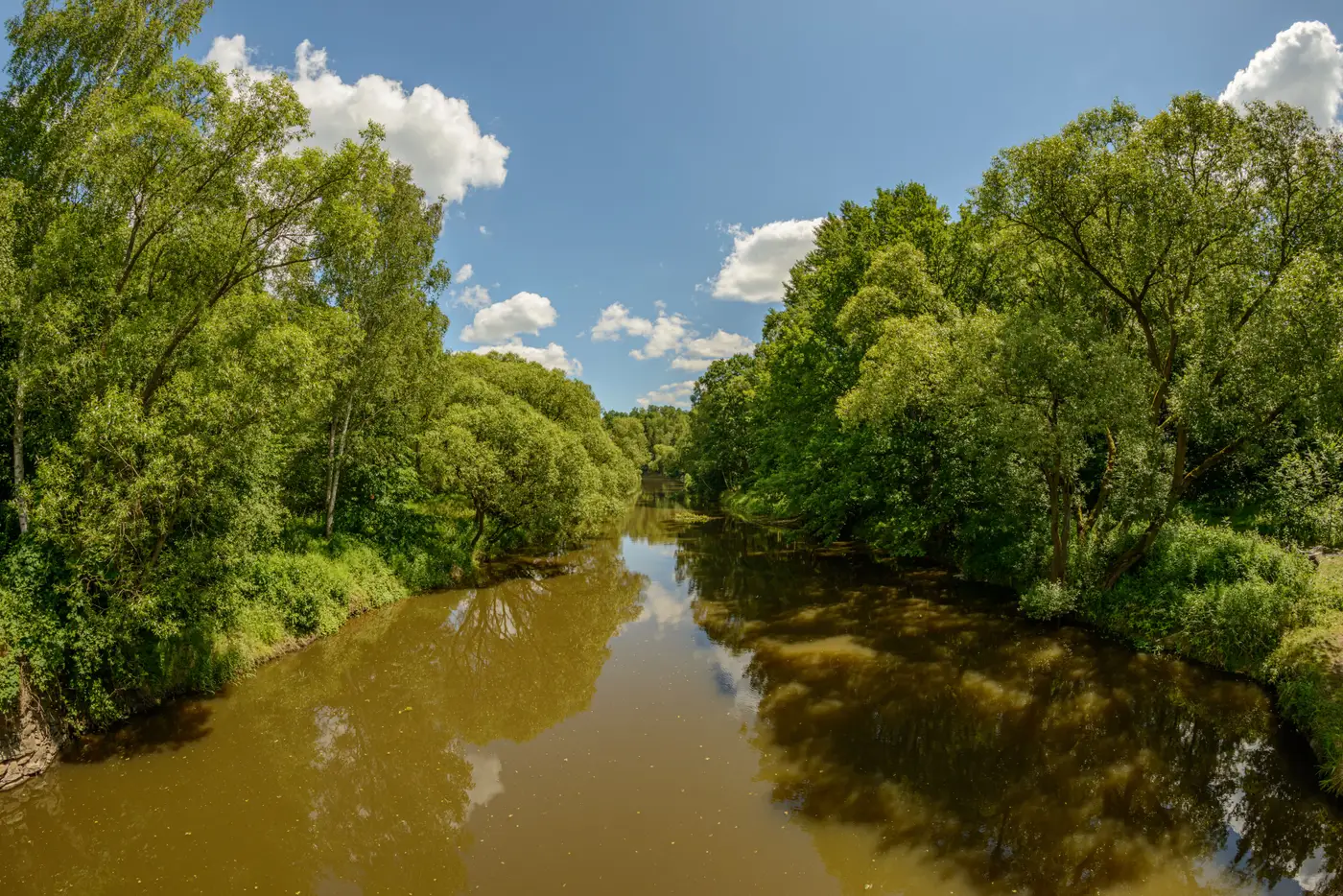 A forest river bend with still water reflecting the trees and sky along its banks.